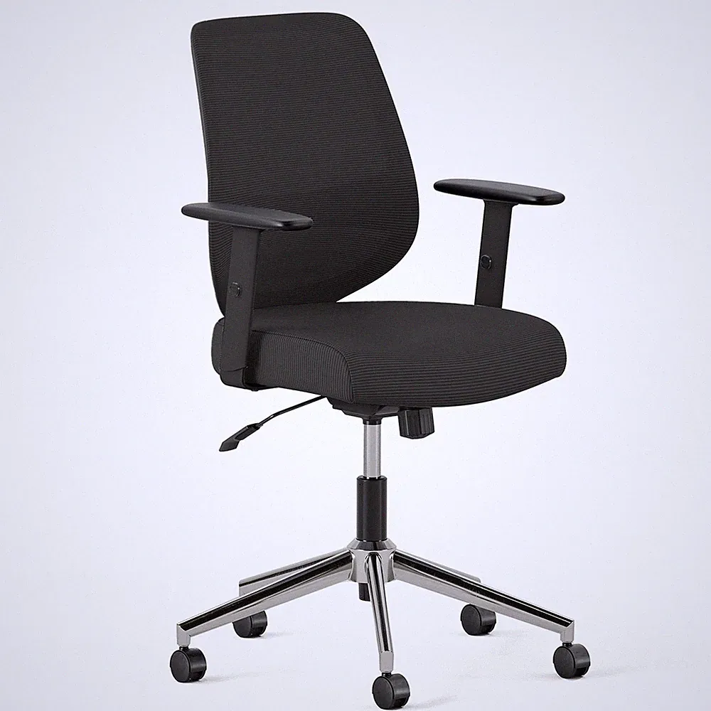 Daily Chair - Computer Office Chair with Swivel, Lumbar Rest, and Adjustable...