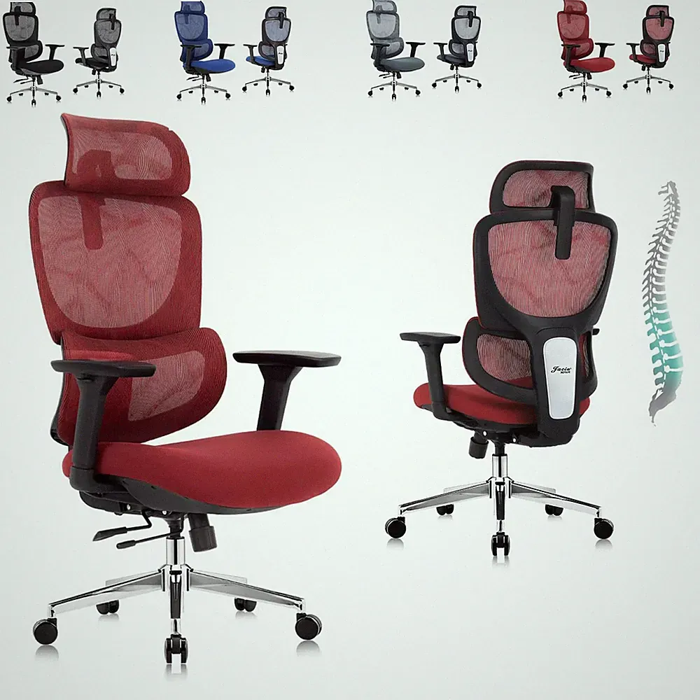 Ergonomic Office Chair - Dual Back & Adjustable Lumbar Support, 4D Armrests,...
