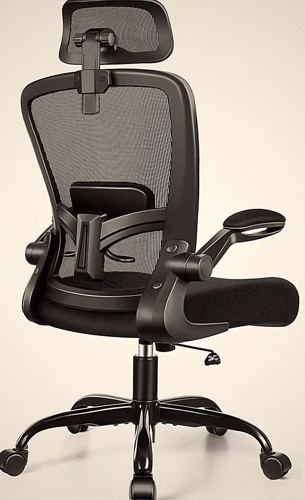 Office Chair, Desk Chair with Adjustable Lumbar Support, Ergonomic Computer Chai